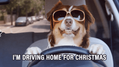 Vtipný vánoční GIF obrázek se psem.