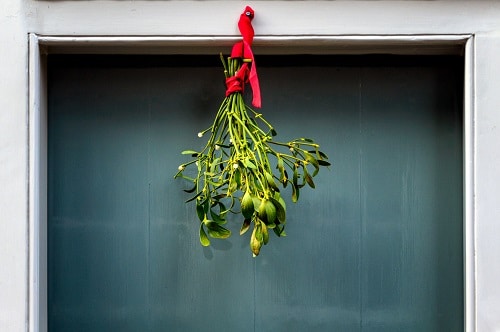 Zelené jmelí zavěšené červenou stužkou na zárubni dveří, které je vánoční zvyklostí. 
