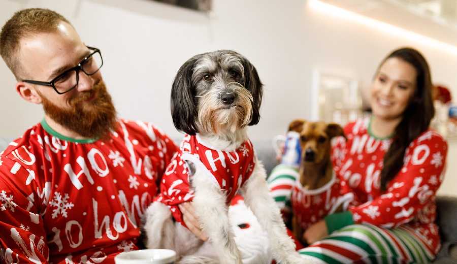 Rodina sladěná ve vánočních pyžamech i se svými psími kamarády