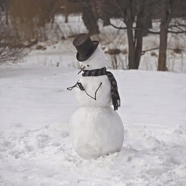 Sněhulák hrající na mobilu dozajista nějaké vánoční hry, s cylindrem a šálou.