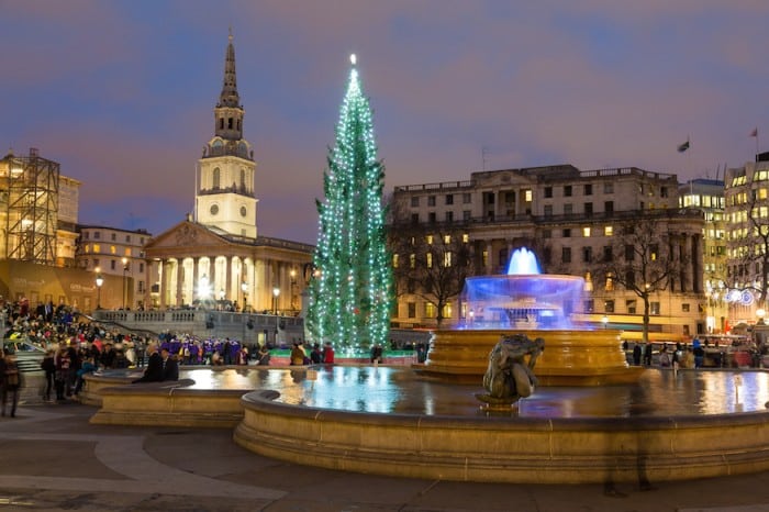 Vánoční strom na Trafalgarském náměstí.
