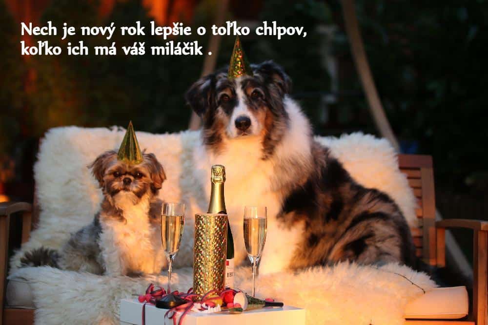 Dva psi s čepičkami pro oslavy sedící na dece na lavici, před sebou mají stolek s šampaňským, nad nimi text novoročního přání.