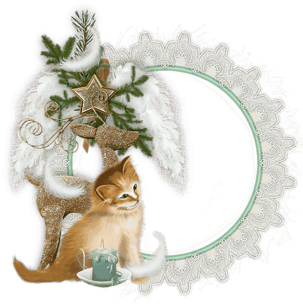 Vánoční rámeček s krajkou a koťátkem