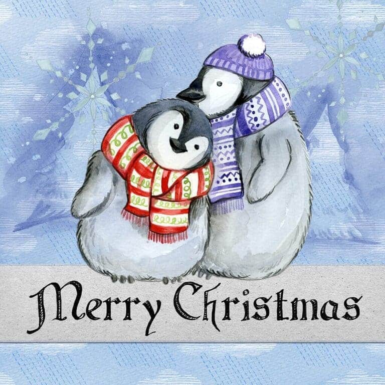 Dva tulící se tučňáci se šálami na modrém zmrzlém pozadí s přáním Merry Christmas