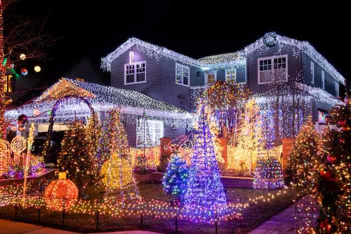 Bohatě vánočně vyzdobený dům a zahrada.