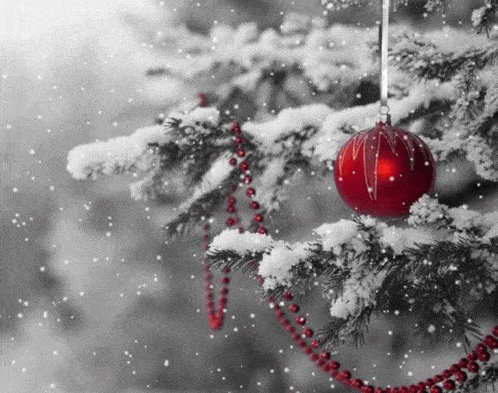 Červená vánoční ozdoba na zasněženém stromku, padající vločky.