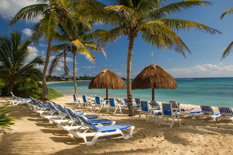 Karibská pláž pod ikonickými palmami, mnoho lehátek, slunečníky a nekonečné moře.