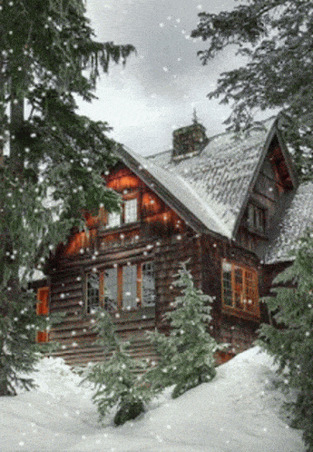 Dřevěná chata v zasněženém lese, chulemenice.