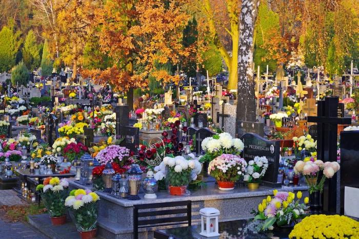 Hřbitov s květinami na hrobech.