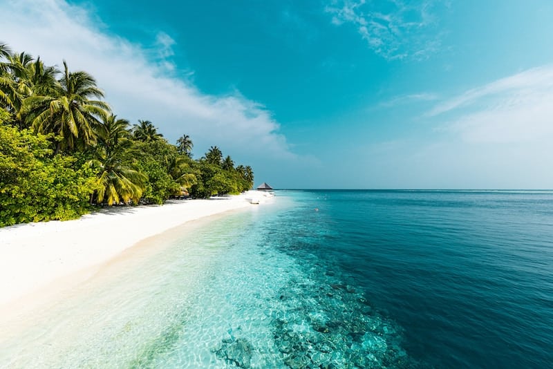 Nádherné azurové moře na Maledivách a sněhově bílá pláž, kterou lemují vzrostlé palmy.