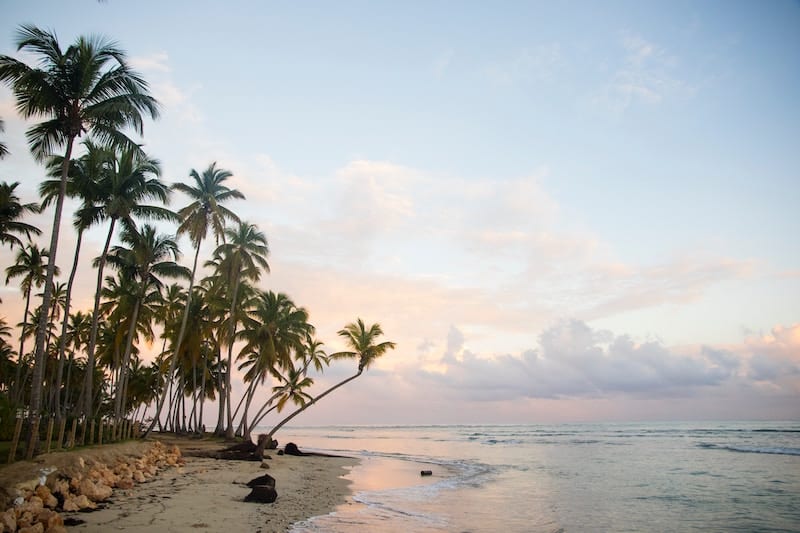 Pláže v Dominikánské republice s typickým výjevem palem.