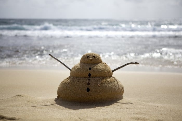 Sněhulák v písku na Havajských ostrovech.