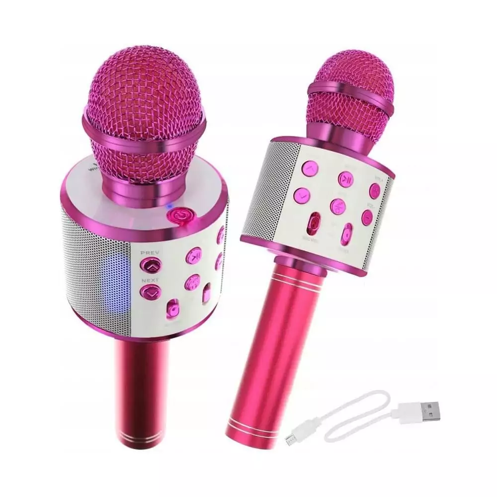 Karaoke mikrofon pro malé zpěvačky.