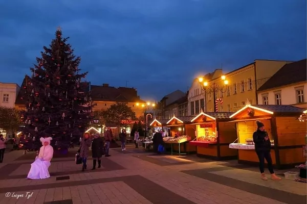 Stány na vánočních trzích v Rybniku v minulých letech 
